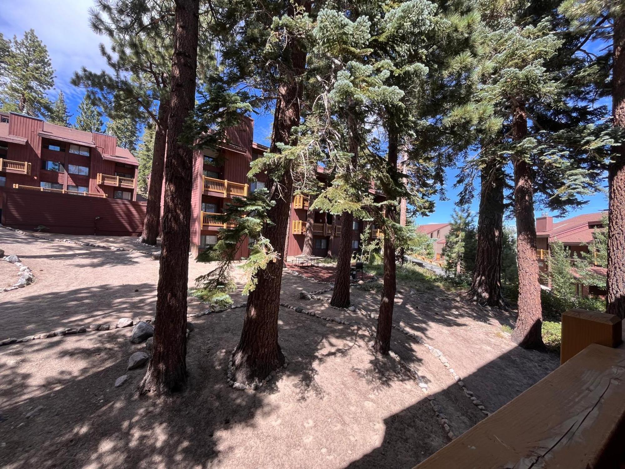 Tastefully Remodeled Condo At Mammoth Ski & Racquet Club, Hot Tub, Garage, 10 Min Walk To Ski Lifts Mammoth Lakes Exteriér fotografie